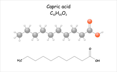 Stylized molecule model/structural formula of capric acid. Use for ester synthesis.