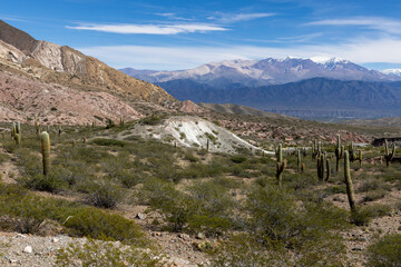 Scenic drive from Cachi to Salta - beautiful landscape around the Los Cardones National Park in Argentina, South America