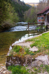 Fototapeta na wymiar Ancienne bâtisse en bois au bord d'une rivière