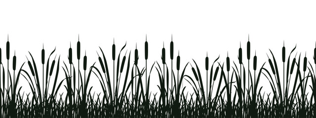 Seamless swamp vegetation silhouette. Vector illustration of border with reeds for design. River cattail. - obrazy, fototapety, plakaty