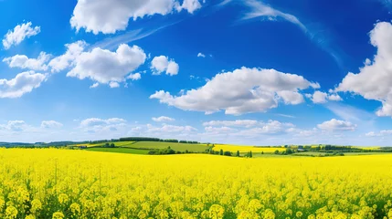 Keuken spatwand met foto Field of rapeseed - landscape panorama with yellow rapeseed field, beautiful white clouds in the blue sky, generative ai  © vvalentine