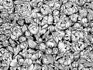 Peonies flowers illustration. Line art. Graphic