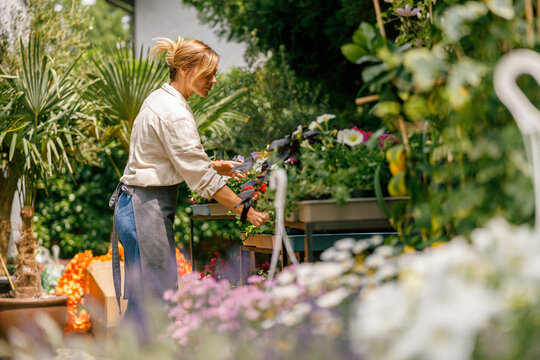Woman professional gardener take care of houseplants in floral store yard. High quality photo