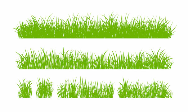 Set of Green Grass Isolated on White Background.	