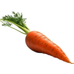 carrots isolated on a white background