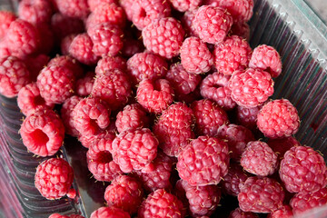 Lot of raspberries close up in a container