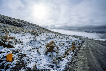 snow covered mountains