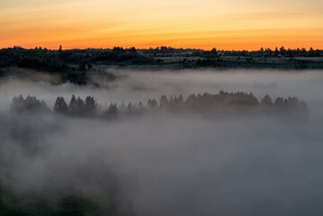Foggy dawn in Izborsko-Malskaya Valley, Pskov region