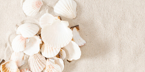 Fototapeta na wymiar Seashell on clean sand of beach. Close up, beach sand texture. Beach sand texture in summer sun.