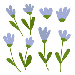Cute small blue flowers set. Vector cornflower simple style big set