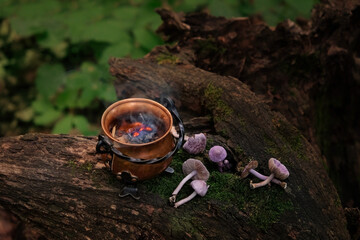burning Copper witch cauldron and mushrooms on stump close up, abstract dark forest background....