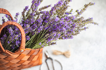 Summer straw bag with fresh flowers of lavender