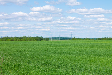 A green field against a blue sky with clouds
