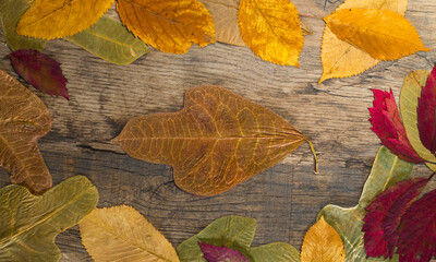 Fototapeta na wymiar autumn background with beautiful dry leaves