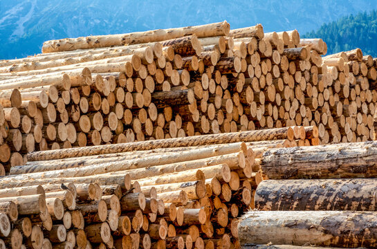 Holzindustrie Lagerplatz gesch&auml;lte Baumst&auml;mme gestapelte Schichtholz vor Bergkette &ndash; Timber Industry Logs 