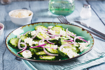 Fresh cucumber, ricotta and red onion salad on a plate on the table