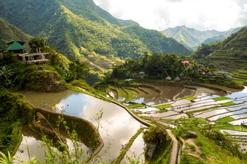 Papier Peint photo Rizières Flooded rice terraces in early spring, Batad, Philippines