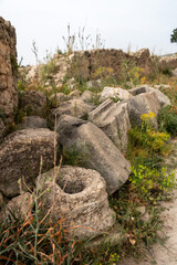 Fototapeta na wymiar Ruins of the ancient Roman town of Volubilis in Morocco