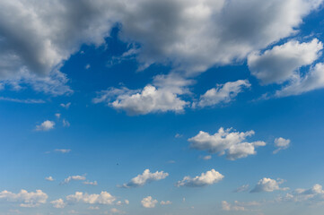 Clear blue sky and beautiful white clouds.