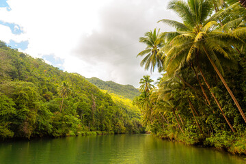 Obraz premium Tropical river with palm trees on both shores, Loboc river, Bohol, Philippines
