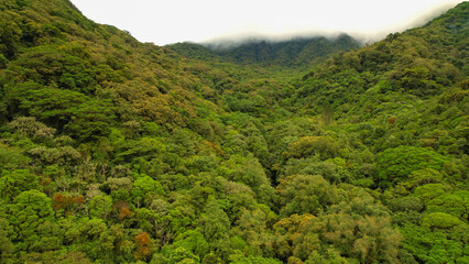AERIAL: Rainforest at the foothill of Volcan Baru with mists rolling over ridge - obrazy, fototapety, plakaty