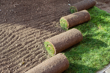 Roll of fresh sod grass planted on a newly landscaped lawn