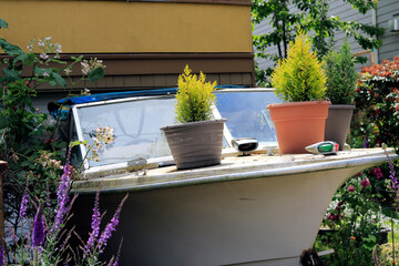 Plantes en pots sur la proue d'un bateau dans le jardin.