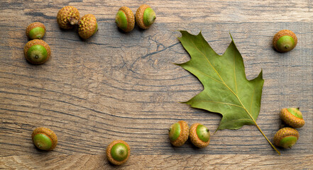 acorns and oak leaf on wooden background for postcard banner background.beautiful canadian oak...