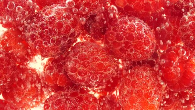 Red raspberry under water in air bubbles. Rubus idaeus. On a pink background.