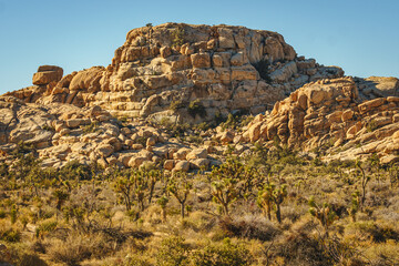 Joshua Tree National Park Barker Dam Trail
