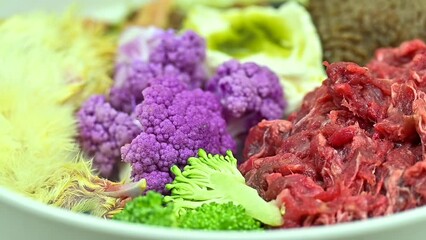 Natural raw dog food. Fresh meat, chicken, tripe, vegetables, seeds and oil in white bowl Close up