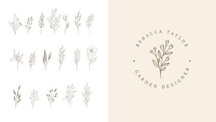 Botanical elegant, delicate hand drawn elements, minimalist modern style. Vector illustrations