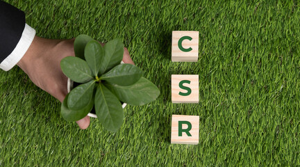 Top view businessman holding plant pot with cube symbolizing CSR. Ethical and eco-friendly green...