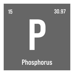 Phosphorus, P, periodic table element with name, symbol, atomic number and weight. Non-metal with various industrial uses, such as in fertilizer, detergents, and as a component of certain types of