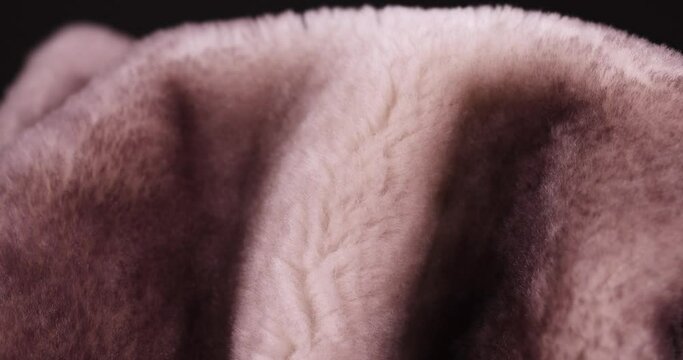 beige and white sheepskin fur, which is used in the production of fur coats and fur products, a close-up of a part of a fur coat made of sheepskin