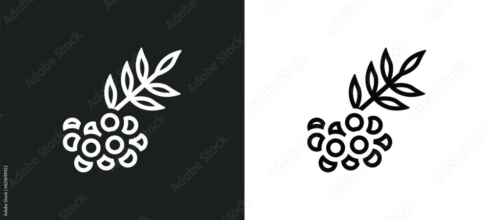 Poster rowan outline icon in white and black colors. rowan flat vector icon from autumn collection for web,