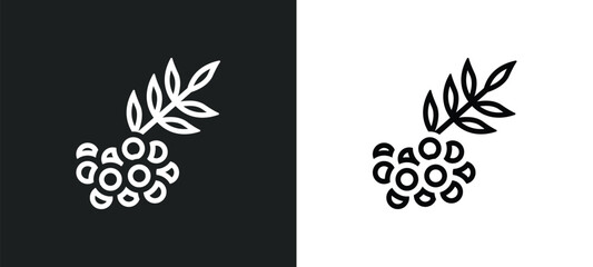 rowan outline icon in white and black colors. rowan flat vector icon from autumn collection for web, mobile apps and ui.