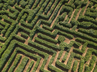 A close up on a green maze from a drone view