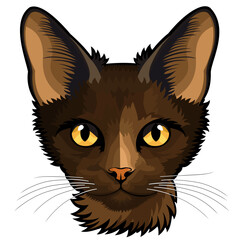 black cat with yellow eyes Vector Illustration