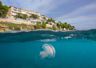 Fototapety na wymiar - Fototapeta24.pl