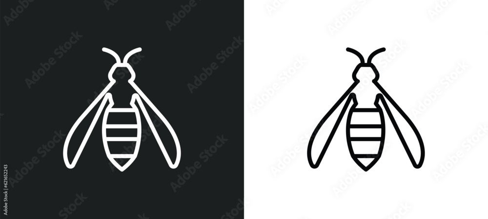 Poster wasp outline icon in white and black colors. wasp flat vector icon from animals collection for web, 