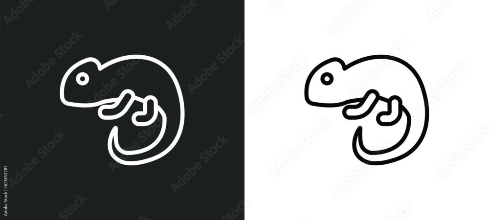 Poster chameleon outline icon in white and black colors. chameleon flat vector icon from animals collection