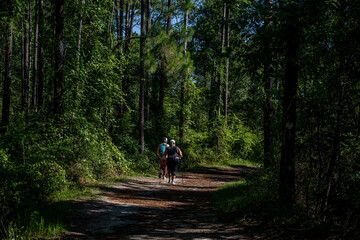 julington creek preserve