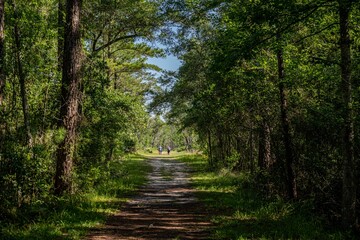 julington creek preserve