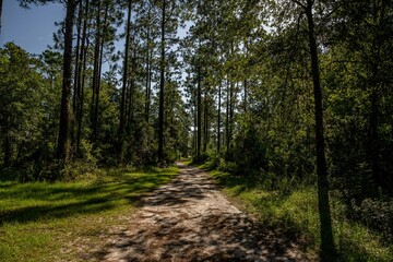 julington creek preserve