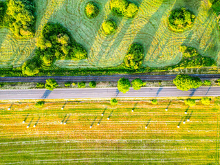 Asphalt road and concurrent railway in lush green morning lagricultural landscape. Aerial view from drone.