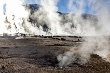 Exploring the fascinating geothermic fields of El Tatio with its steaming geysers and hot pools high up in the Atacama desert in Chile, South America