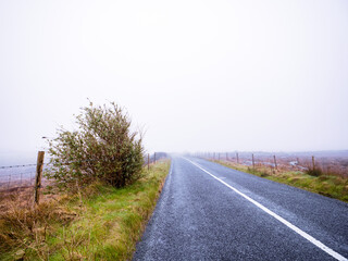 Fototapeta na wymiar Asphalt road and fields in country side in a fog. Dangerous driving conditions with low visibility and wet road surface. Mist over wild nature. Irish country side.