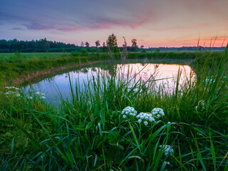 Beautiful nature sunset scene with small pond and stunning sky. Private high value property with own lake. Calm nature scene. Sky reflection in water. Nobody.