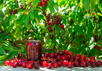 Fresh red sweet cherries and glass jar with homemade preserved cherries on table at fruit farm,...
